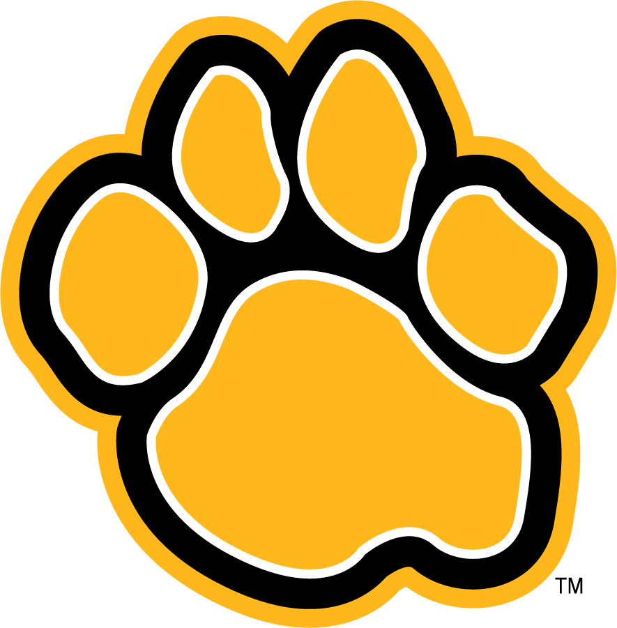 UMBC Retrievers 2010-Pres Alternate Logo v4 diy iron on heat transfer